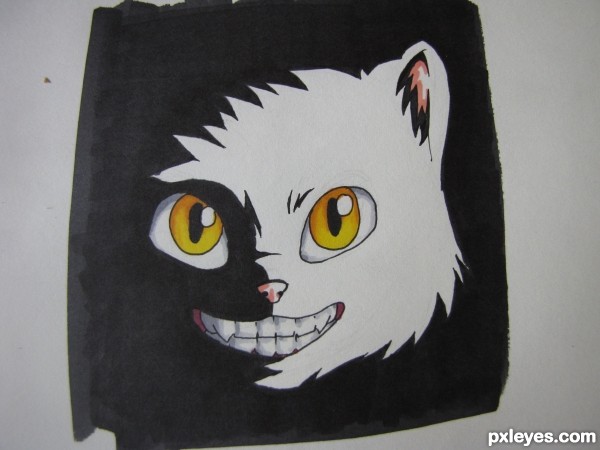 Creation of Cheshire: Step 3