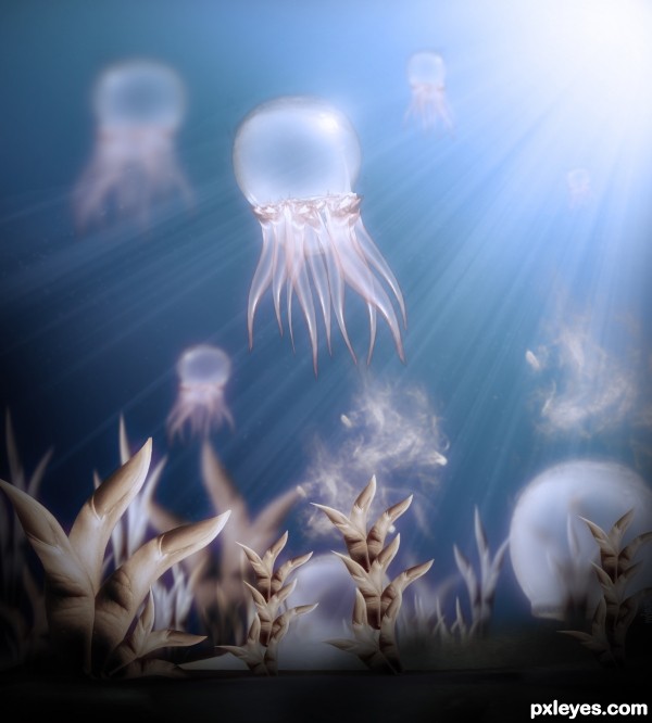 Transparent Jellyfish photoshop picture)