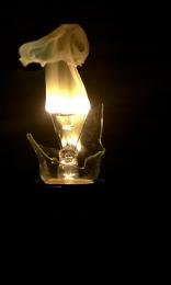 Light Bulb Smoke Picture