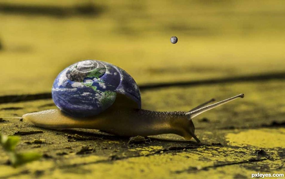 Life on a Snail...