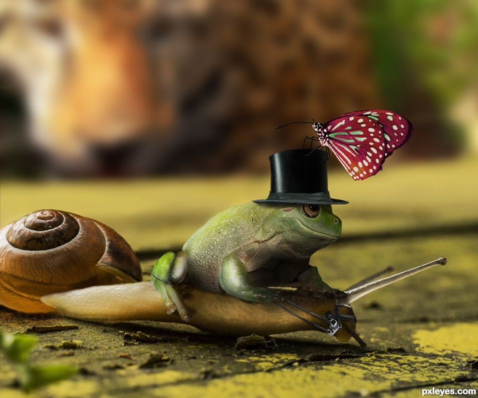 Snailride