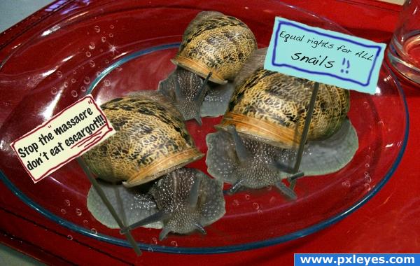 Escargot