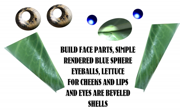 Creation of Lettuce Face It: Step 5