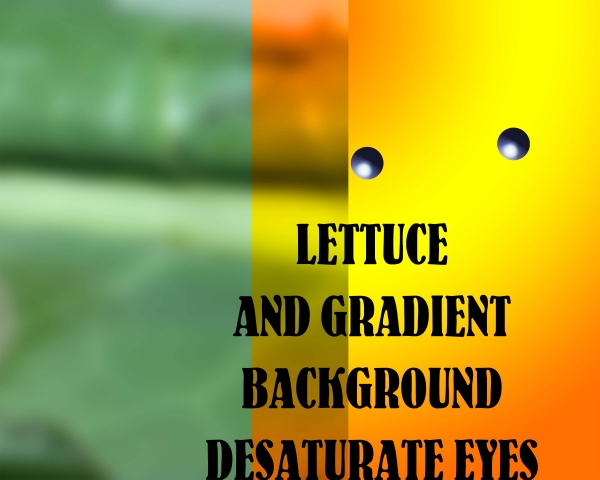 Creation of Lettuce Face It: Step 7