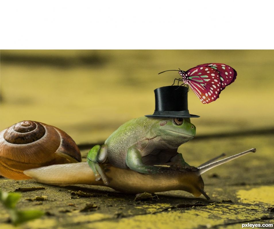 Creation of Snailride: Step 10