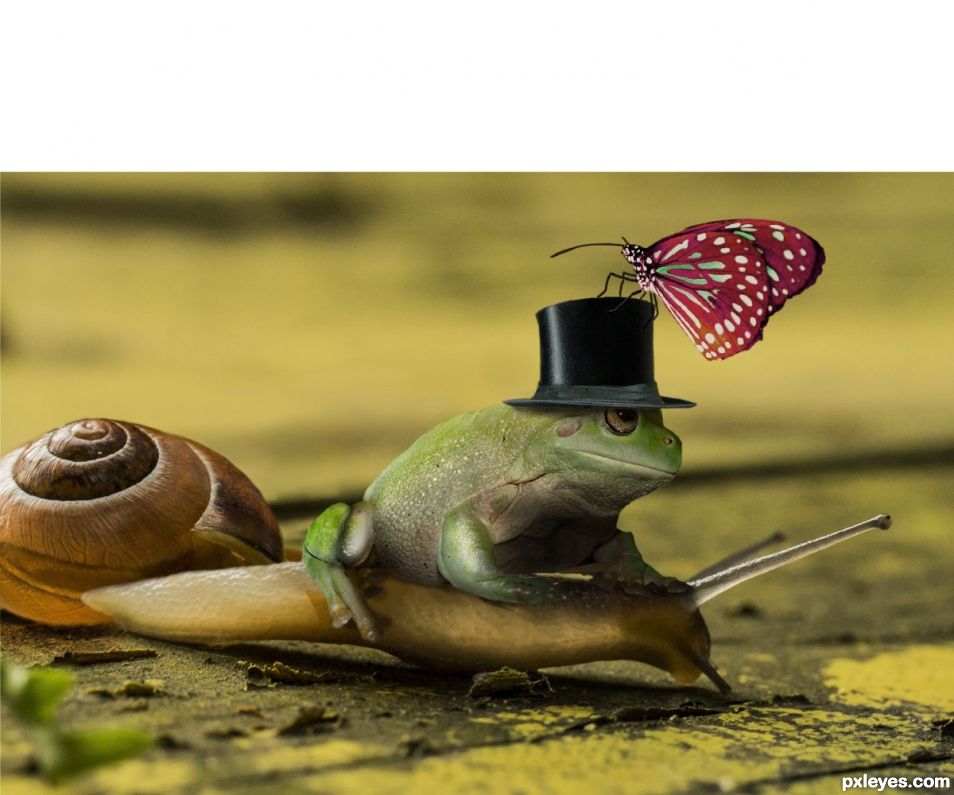 Creation of Snailride: Step 11
