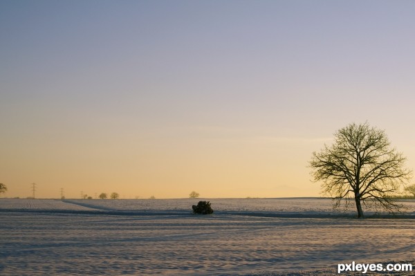 A restful walk