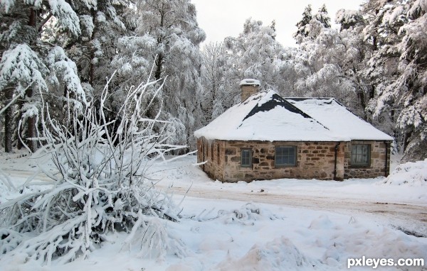 Cottage in the Woods