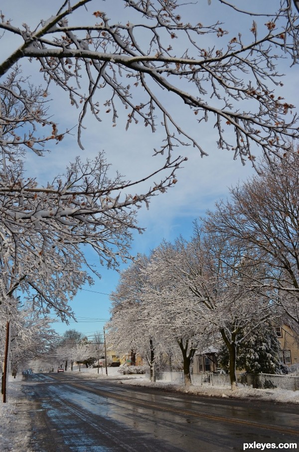 First Snow Of Winter