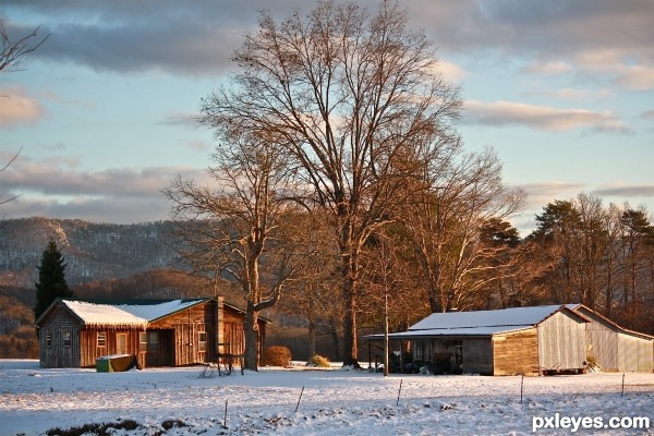 Tennessee Christmas