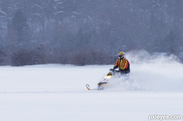 Winter Fun