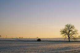 A restful walk