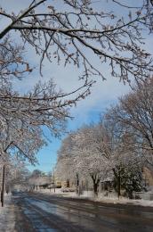 First Snow Of Winter