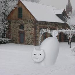 Snow Kitty