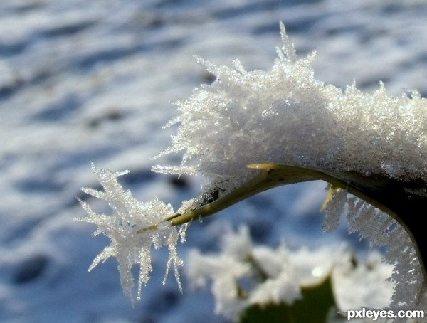 Frozen snow