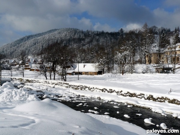 Village in the snow