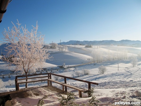 White landscape