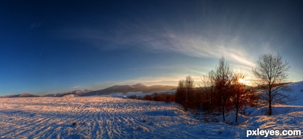 Winter landscape