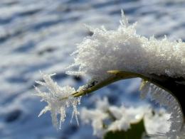 Frozen snow