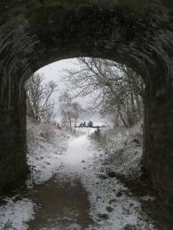 Through the tunnel