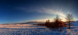 Winter landscape