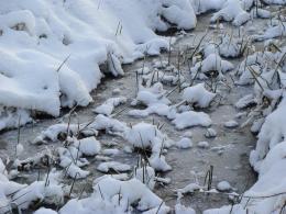 creek Picture