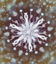 Unique Snowflake