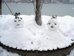 twins by frozen lake