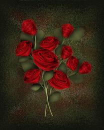 Thornless roses Picture