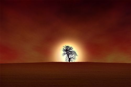 Creation of Sunset!: Step 11