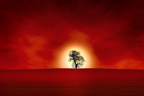 Creation of Sunset!: Step 13
