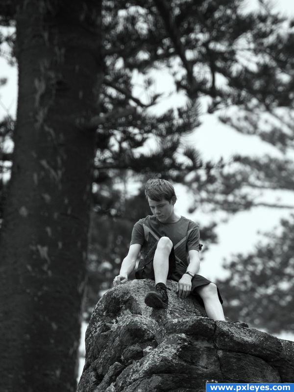 Alone on a rock