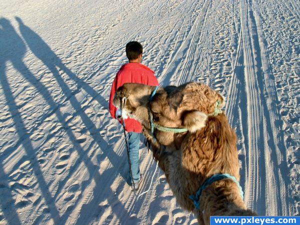 Walking in the desert