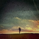solitude photography contest