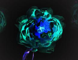 The Neon Flower Picture