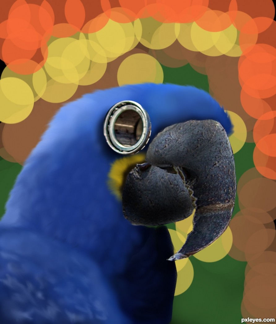 Creation of Blue Macaw: Step 5