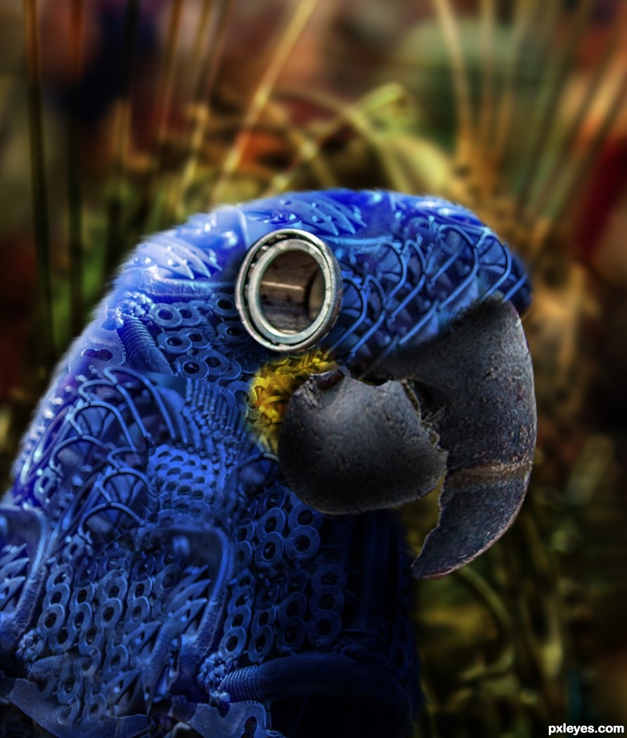 Creation of Blue Macaw: Step 9