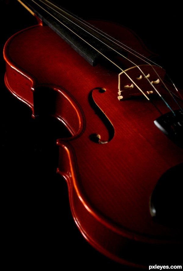 Violin