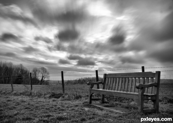 "The Park Bench Song"