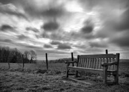 "The Park Bench Song"