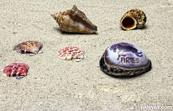 Aries Shell