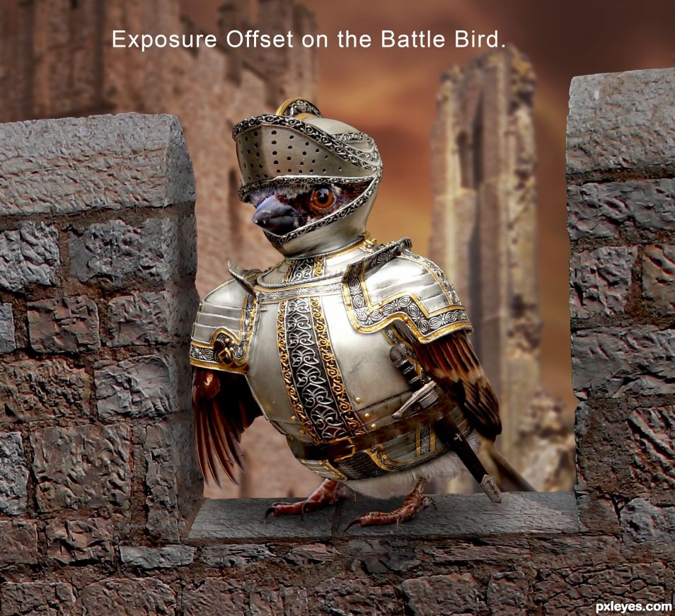 Creation of Battle Bird: Step 30