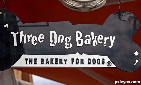 Dog Bakery