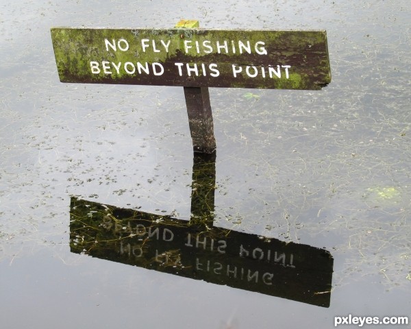 No Fly Fishing...