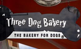 DogBakery