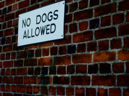 No Dogs Allowed