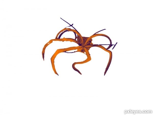 Creation of spider: Step 3