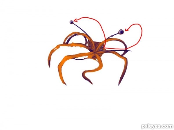 Creation of spider: Step 4