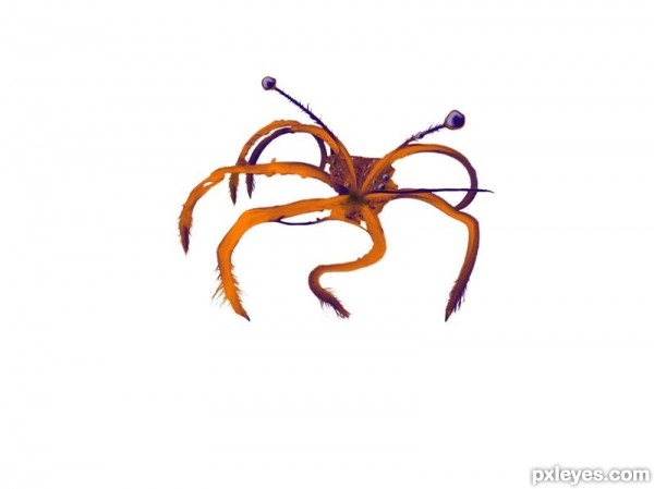 Creation of spider: Step 5
