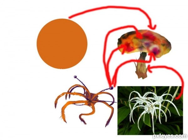 Creation of spider: Step 6